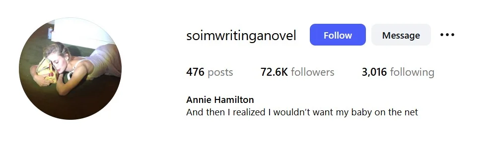 Annie Hamilton's Instagram account